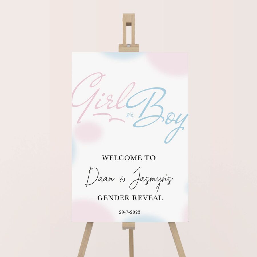 gender reveal welkomstbord blue pink