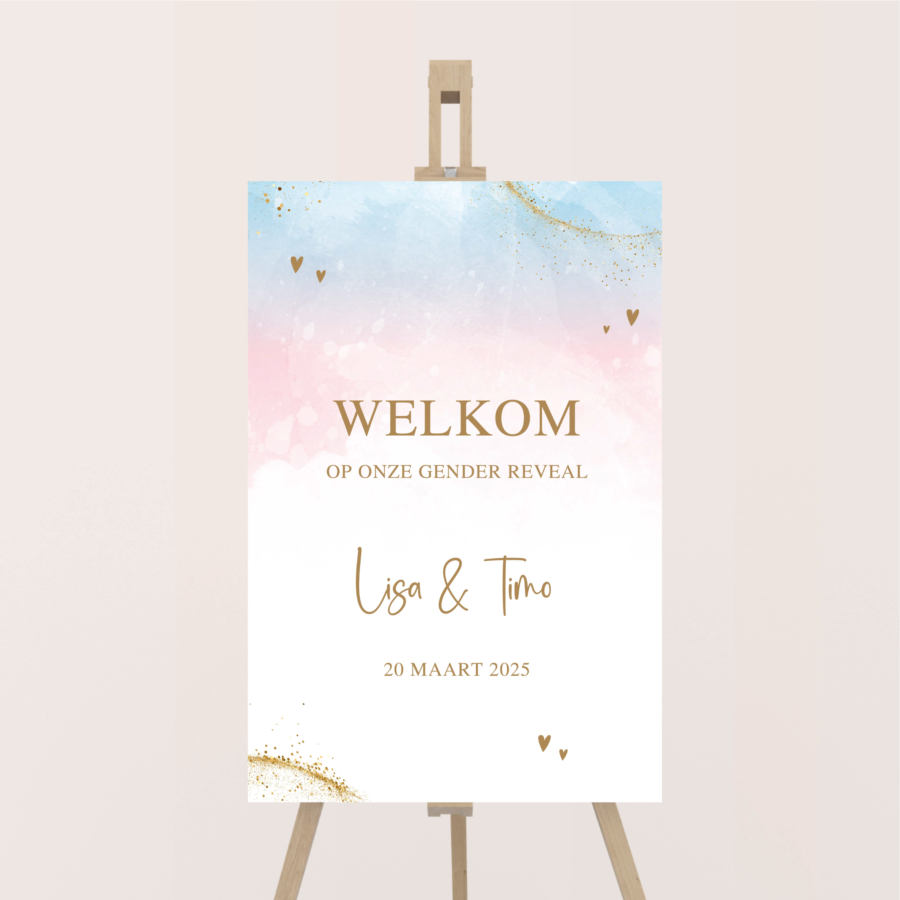 gender reveal welkomstbord roze blauw