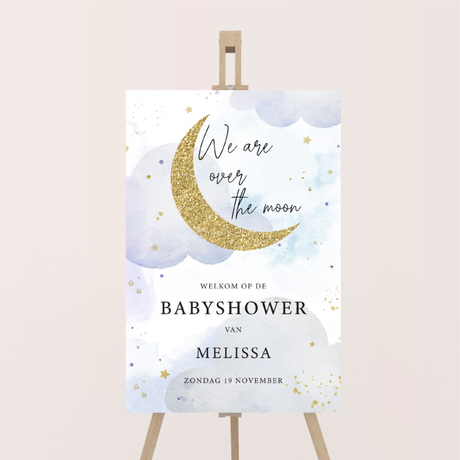 babyshowerbord welkomstbord we are over the moon blauw