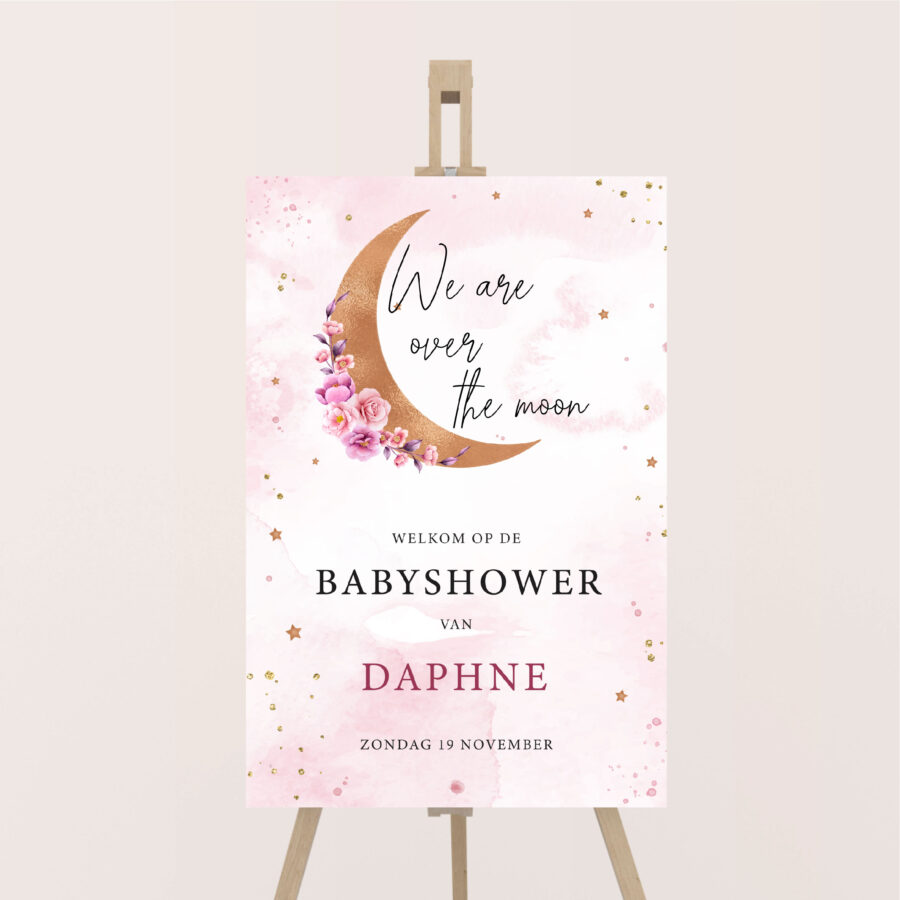 babyshowerbord welkomstbord we are over the moon roze