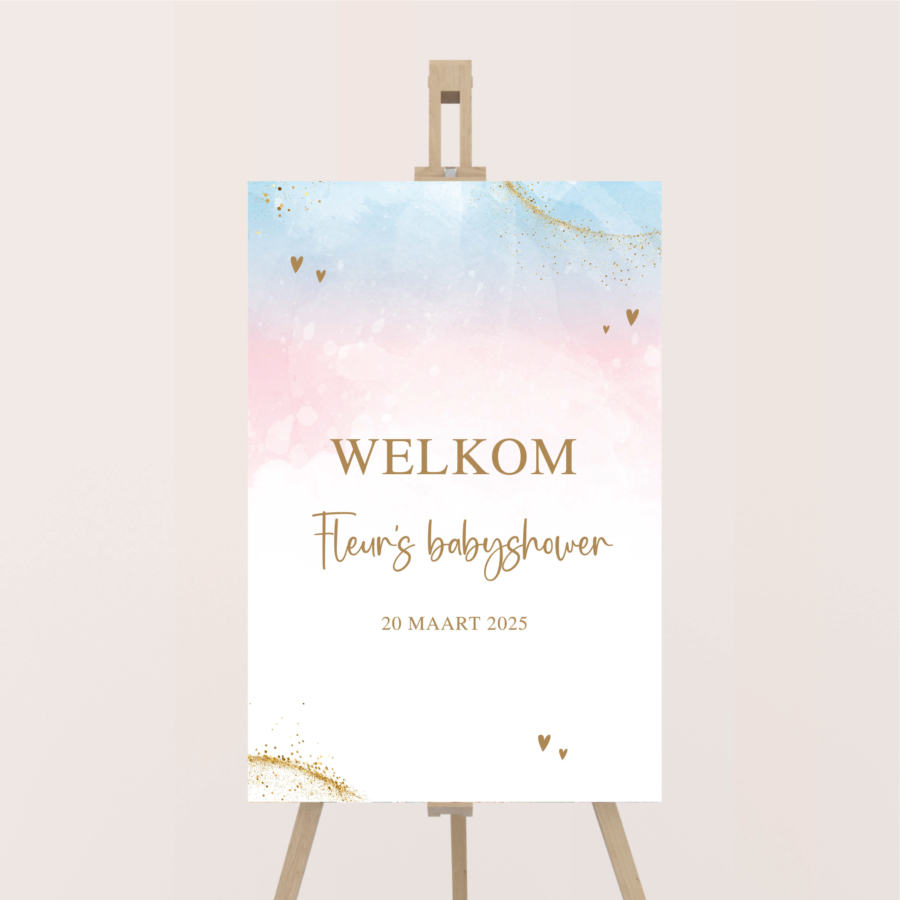 Welkomstbord babyshower roze blauw