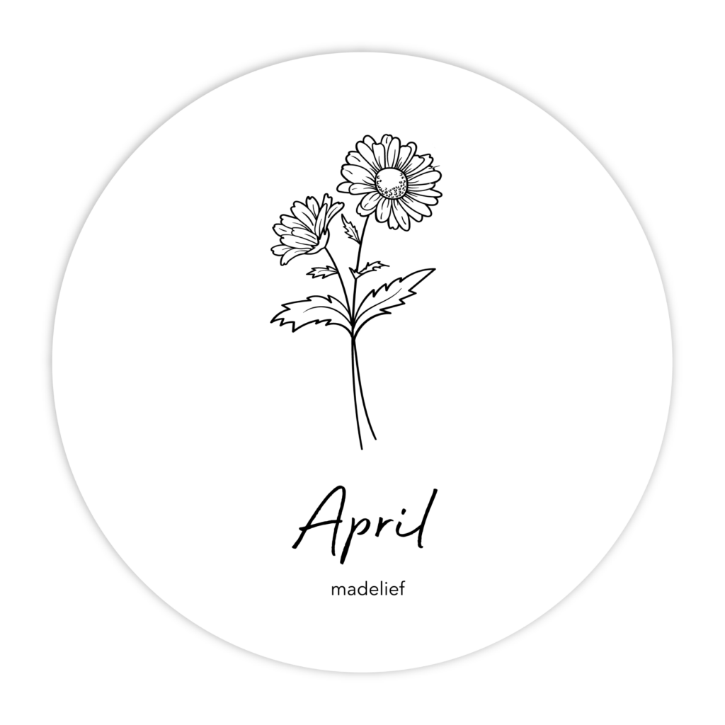MUURCIRKEL-GEBOORTEBLOEM-APRIL