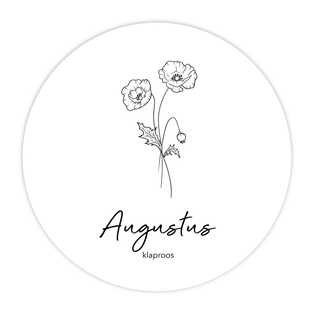 MUURCIRKEL-GEBOORTEBLOEM-AUGUSTUS