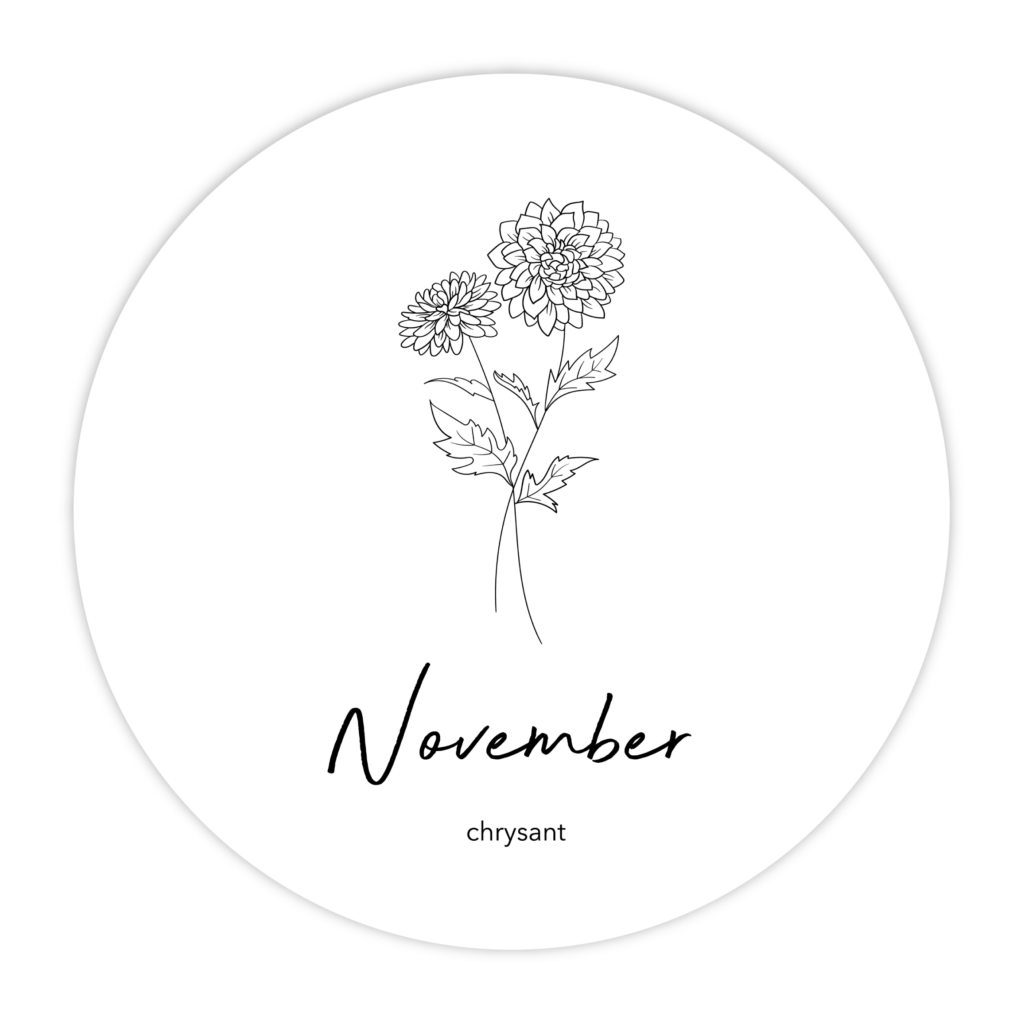 MUURCIRKEL-GEBOORTEBLOEM-NOVEMBER