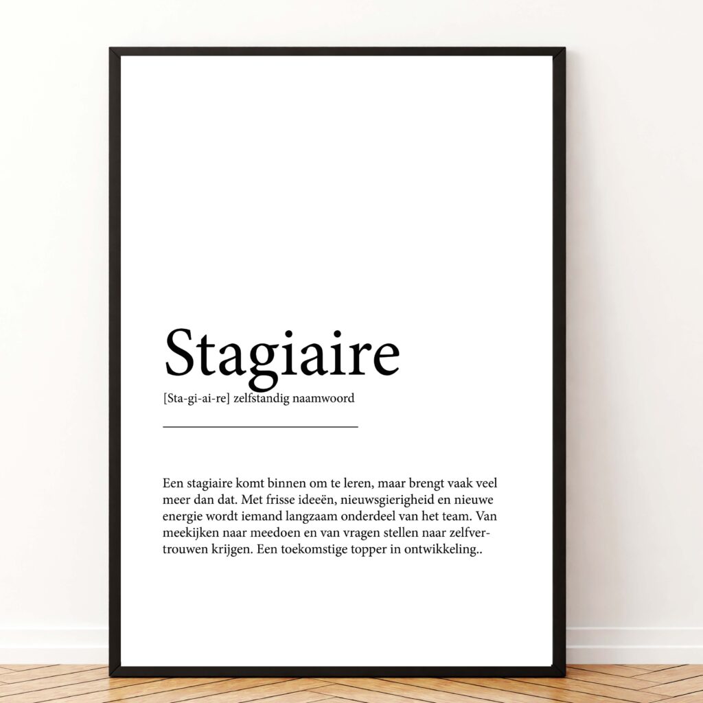 Betekenis poster stagiaire printable koestert